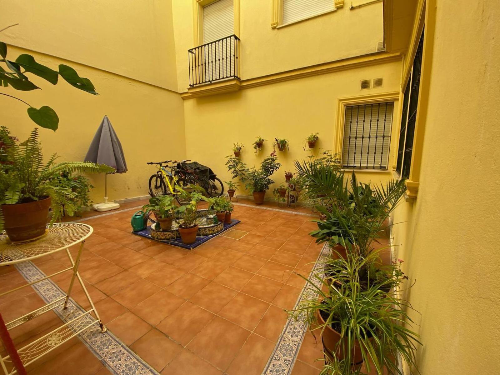 Apartmán La Azotea Del Sol Sevilla Exteriér fotografie