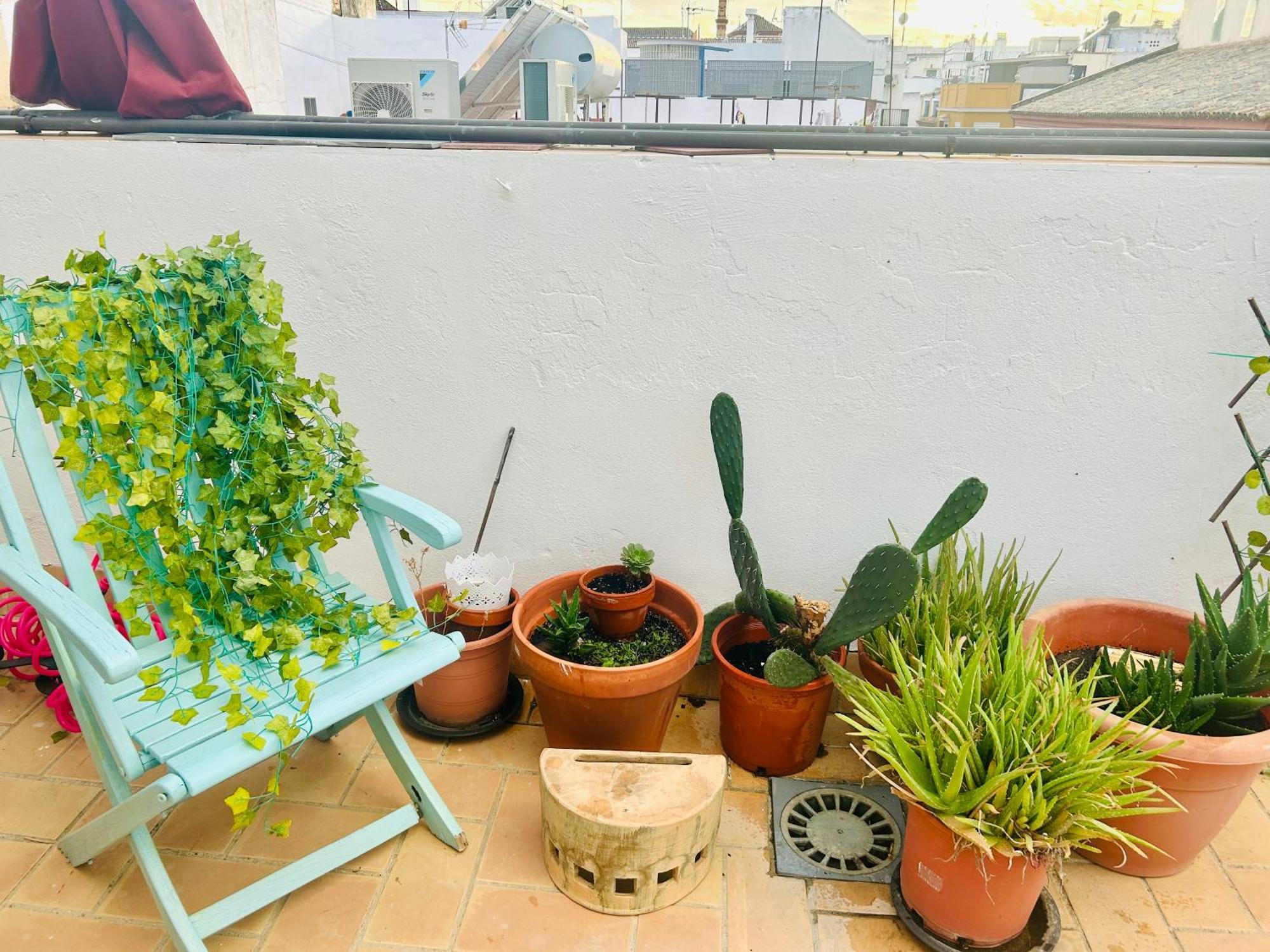 Apartmán La Azotea Del Sol Sevilla Exteriér fotografie